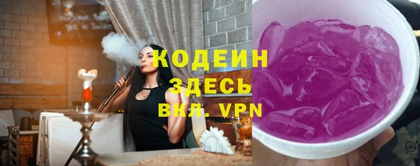 гидра Арсеньев
