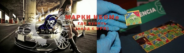 сатива Армянск