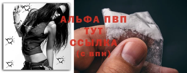 гидра Арсеньев