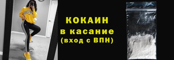 сатива Армянск