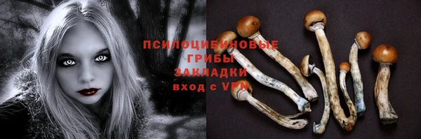 сатива Армянск