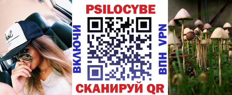 Псилоцибиновые грибы Psilocybe  купить наркоту  Куса 