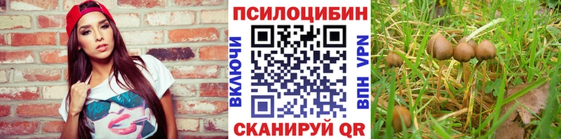 Галлюциногенные грибы Psilocybe Куса